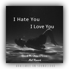I hate you I love you- Gnash Ft. Olvia O'brien- Rework