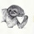 Artwork for Praise The Sloths (Live Session with The Co-Present)