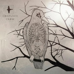 Confused Crow - When The Wolf Meets The Moon (first time live)