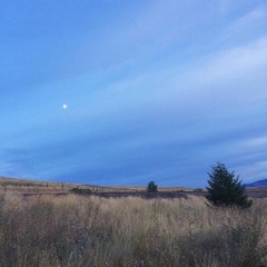 Weather (Demo Remix)