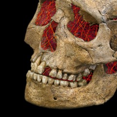 Where Is My Mind (The Pixies)