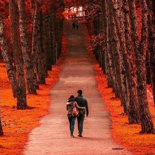 أجمل كلام الحب ♥ .. فيفان مراد