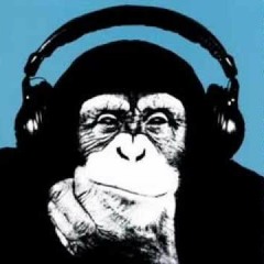 Monkey psy