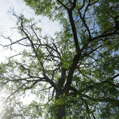 Läbyrinthe - Full Agonism