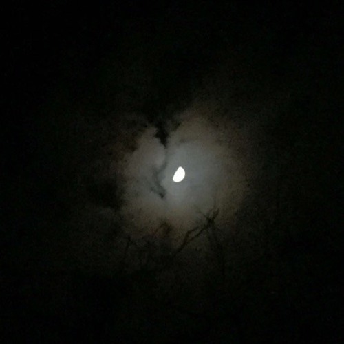 Pitch black by Nine Callisto (Ft. Skeletalframe)