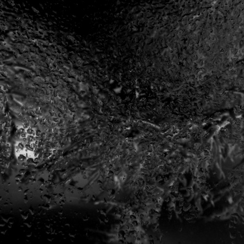 Glatteis Knochen(disquiet0262)