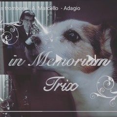 Marcello Adagio - Ben van Dijk Bass Trombone  at The Hague - Netherlands