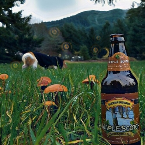 Stream Via Chicago by David Van Reusen Listen online for free on