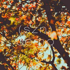 Po - szn demo (original)