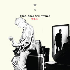 DS072 - Trad Gras Och Stenar - "Kaffe Med Tårta" from 9.9.16