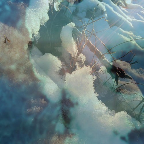 a welcome thaw, midwinter dazzling