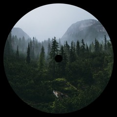 Closer 008 - Julius Steinhoff & Moomin - Blackest Forest Ever