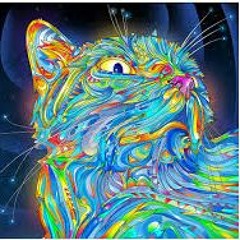 Quadra - Digital Stimulant