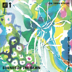 Sounds of the Dawn NTS Radio January 7th 2017