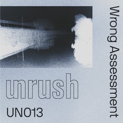 013 - Unrushed by Wrong Assessment