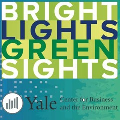 Bright Lights, Green Sights: A Conversation with Erik Clemons