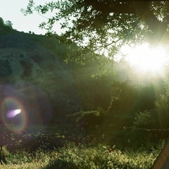 Green Grass (Tom Waits Cover)