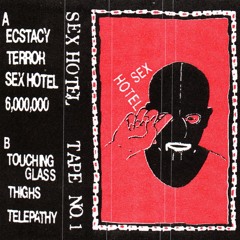 Sex Hotel - Terror
