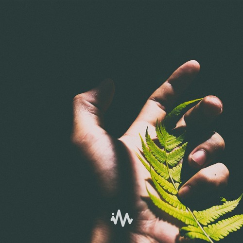 平Wolfe和 - I'm Here For You