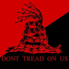 11 Make Country Great Again Part 2 (Nazis in Country)