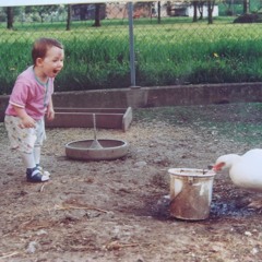 let go of letting go