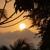 Artwork for Evening Jasmine | Gentle Sounds of India, Sitar & Flute Music | Meditation & Sleep