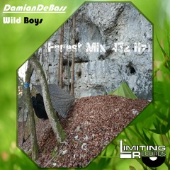 Wild Boys (Forest Mix 432 Hz)