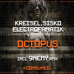 Sisko Electrofanatik, Kreisel - Octopus (Original Mix)  - CSMD090