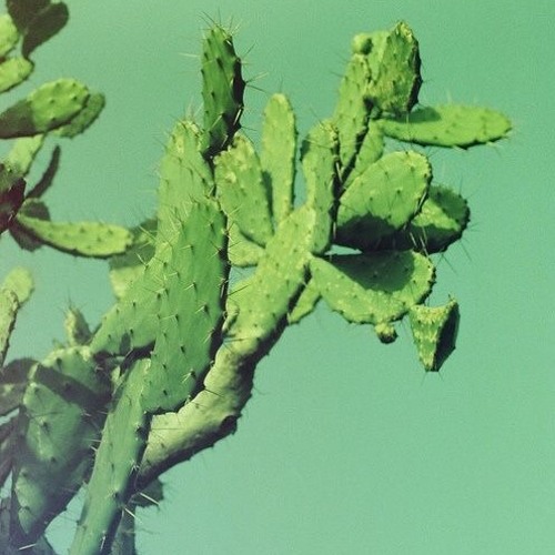 X M.KOZI - OKAY THEN