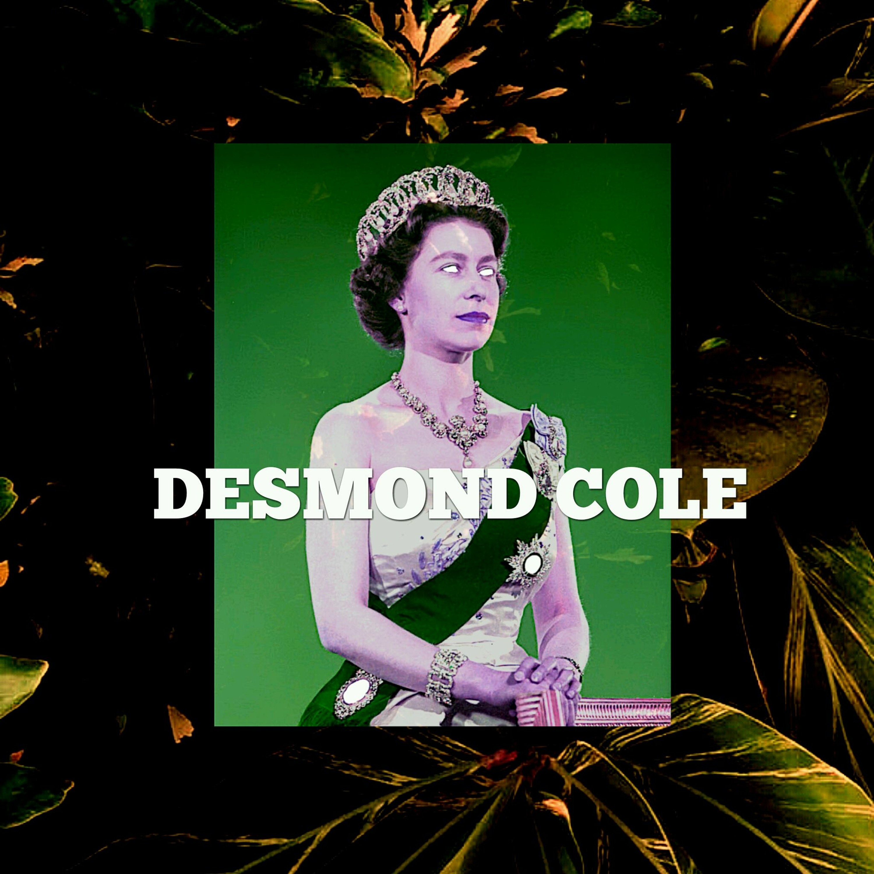 Desmond Cole - Because OBAMA, The Average Black Joe episode artwork