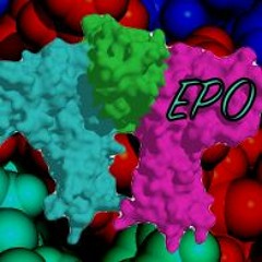 EPO (Paul Racle & Alfonso Llorente Collab)