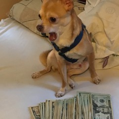 TUT ~ IVAN DRAGO WIT DA DRACO