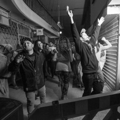 'HIGH VOLTAGE' - Mycophobia In The Jungle Set