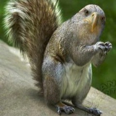 I scream out at this town