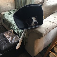 Waiting For That Day _Tribute to George Michael