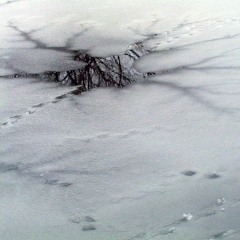 On Thin Ice