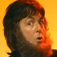 Monkberry Moon Delight (Paul McCartney)