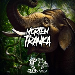 MORTEM - 'Tranka' (Original Mix)[JUNGLE Records]