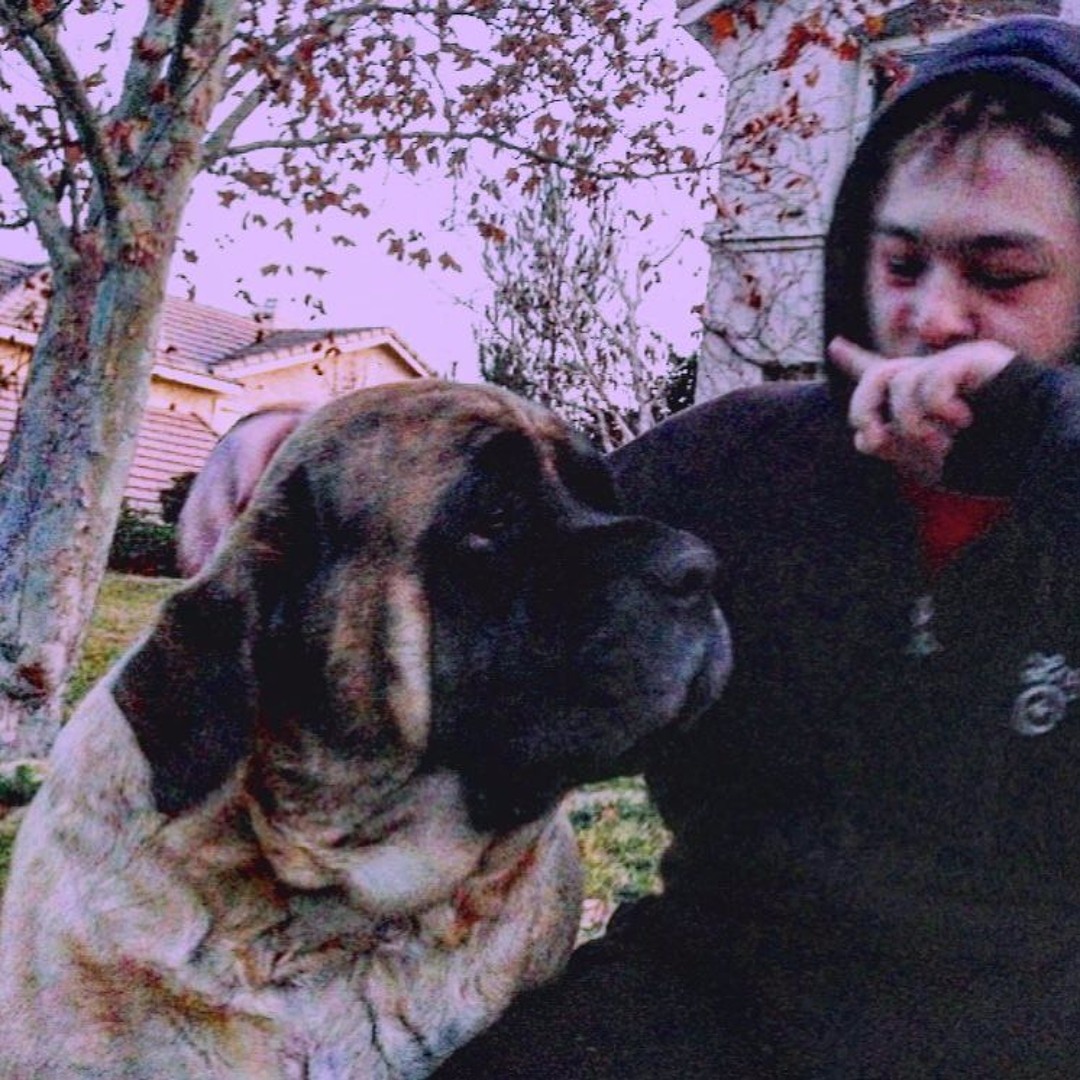 Listen to playlists featuring 6.) [OUTRO] Ft. Donavan Ransom X Yuung A ...