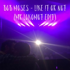 Bob Moses - Like It Or Not (Mr Lokomot Edit)