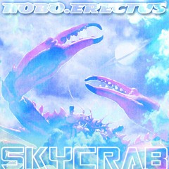 1. Hobo Erectus - Digging In The Dirt