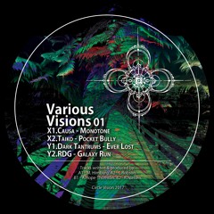 Various Visions 01 (Circle Vision) [CV006]