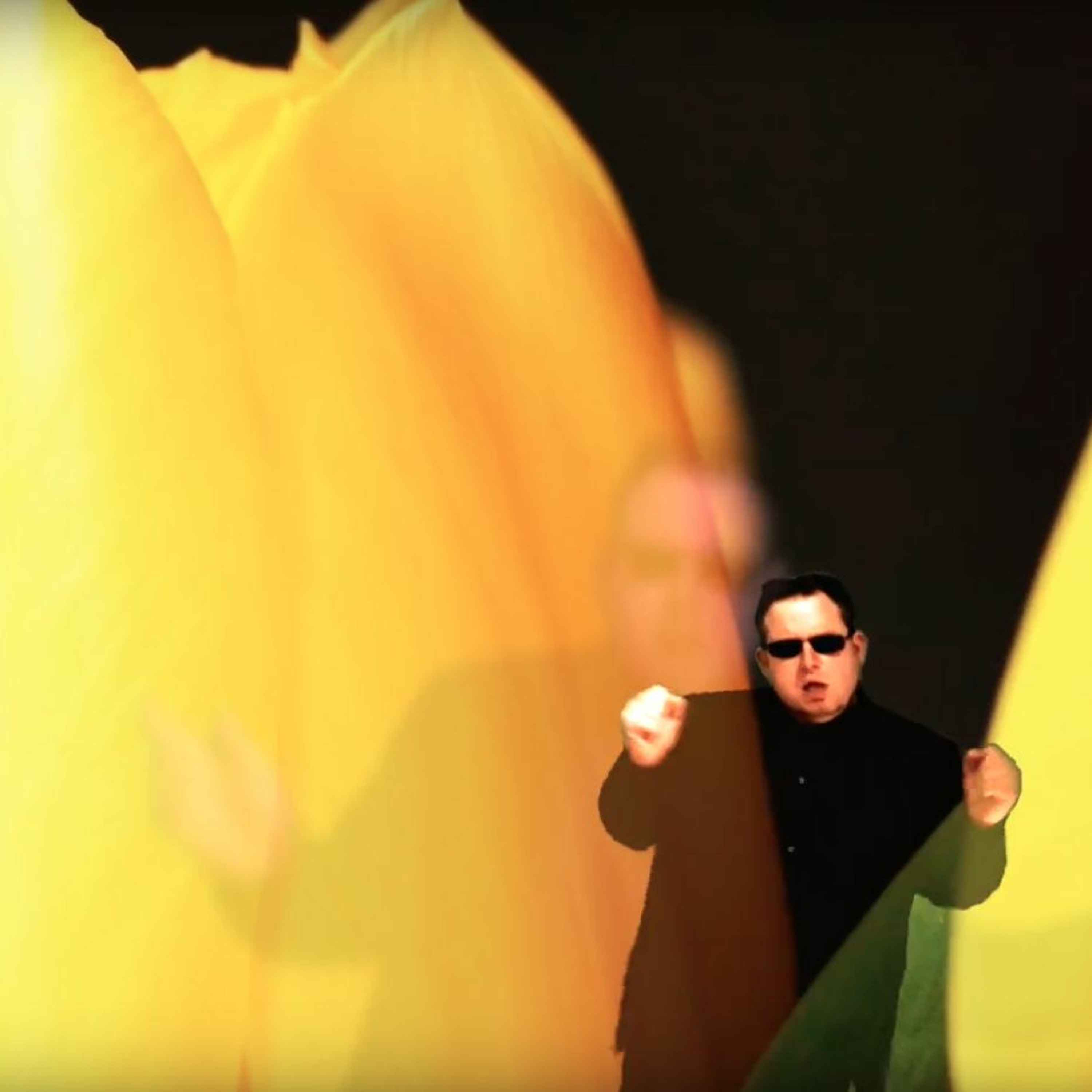 flowers for 2016 episode artwork