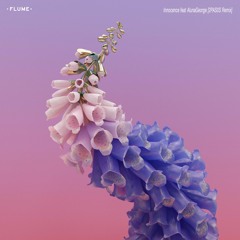 Flume - Innocence Feat AlunaGeorge [2Pas0s Remix]