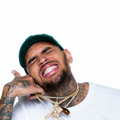 Chris Brown - Privacy (Snippet & LQ)[2017]