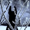 MetaMoreFozzey - Він MetaMoreFozzey - Він