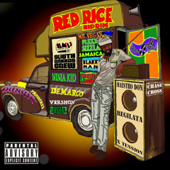 Red Rice Riddim DJ Mix (D-Rakkas)