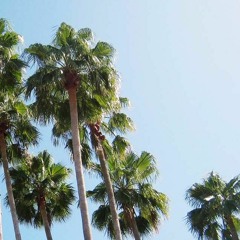 Eyon Ft. Esency - Palm Trees (Prod. By Hopewest)