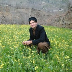 Lewane Shum Nan Me Yar ledale na dy Rehman baba by Moeez