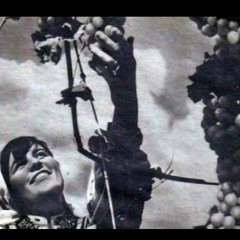 Etnos - Cintec De Pahar (Etno Mix By Andry)
